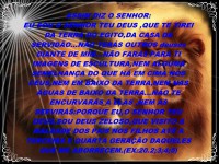 /album/galeria-de-fotos/advert%c3%aancia%20de%20si%c3%a3o-jpeg/